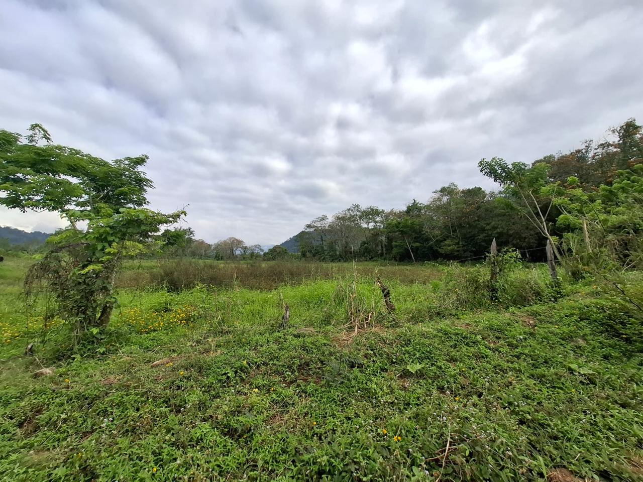 COMAYAGUA, COMAYAGUA